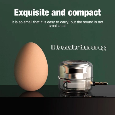 Portable 5X Speaker Amplifier