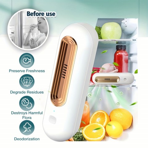 Household deodorizing purifier