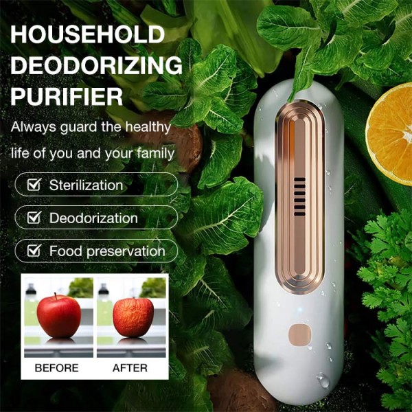 Household deodorizing purifier..